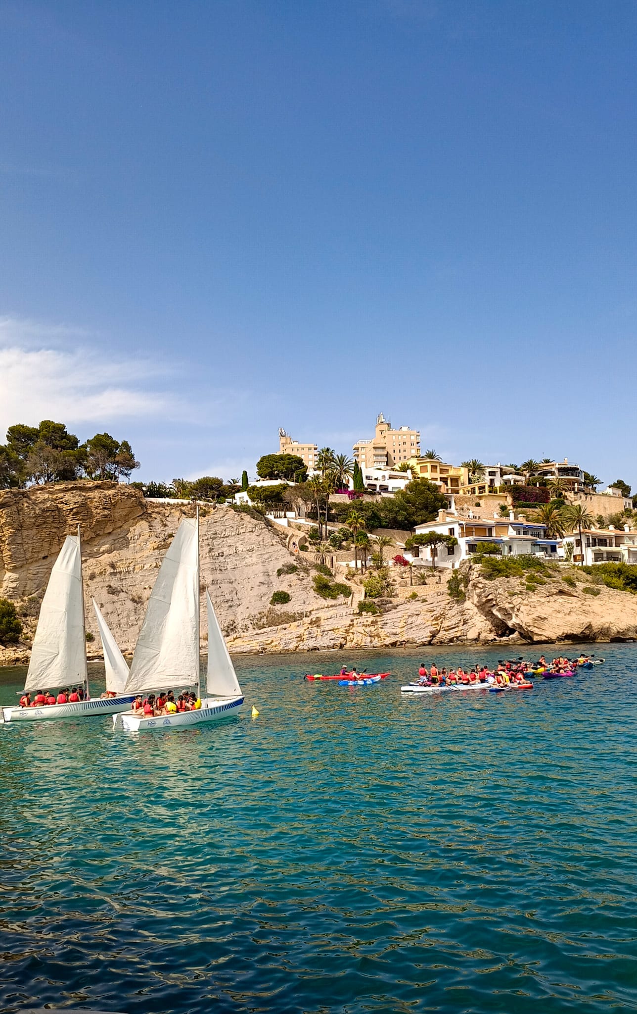 0a4266d7-2945-4ccf-86d9-5b1c91cc98a7