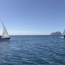 Vela Anglocenter (3)